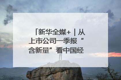 新华全媒+｜从上市公司一季报“含新量”看中国经济发展向“新”